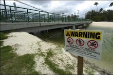 Beach closure sign